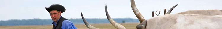 Herdsmen show off their long-horned cattle.