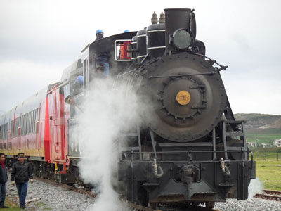 One of two steam engines used on our trip, most of which was done with less costly, less polluting (than coal), less glorious diesel-electric engines. 