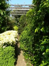 Narrow paths connect “rooms” in the Inner Garden, this one dedicated to foliage in shades of green.