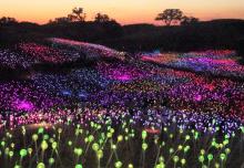 “Bruce Munro: Field of Light at Sensorio” — Paso Robles, California. Photo by Helen Melman