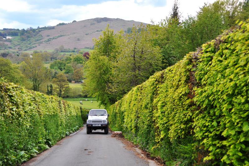 Driving the backroads (as here, in Dartmoor, England) yields surprises by the mile. Photo by Cameron Hewitt